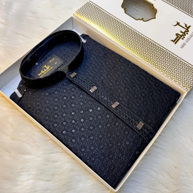 Premium Rewan Sequence Panjabi